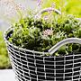 Classic 24 Basket Stainless Steel Silver 2