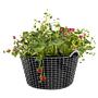 Classic 35 Basket Stainless Steel Silver 7