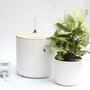 Automatic drip irrigation for plants White 5