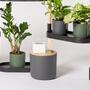 Summer Must-Have: Automatic Drip Irrigation Anthracite 0