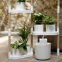Automatic drip irrigation for plants White 0