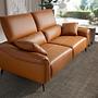 2-Sitzer Sofa braunes Leder 6207 6