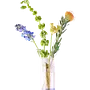 Bouquet Vase Glas Rosa 0