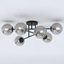 Ceiling light Brendi TypeB steel smoked glass glass black 2