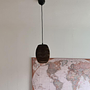 Scraplight Bell and Oliv Pendant Lights 11