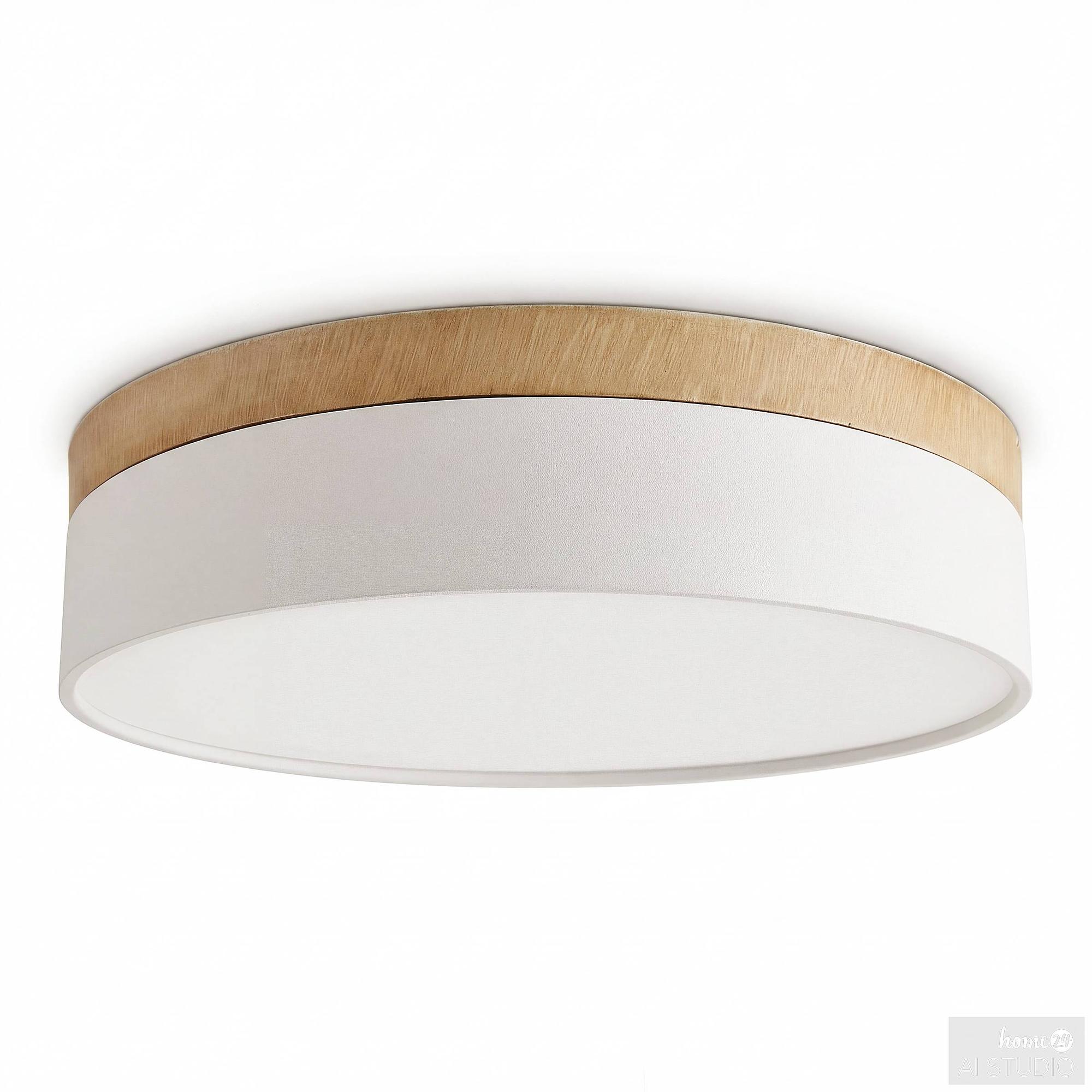 TENEO Ceiling Light 1-Light Iron White 4