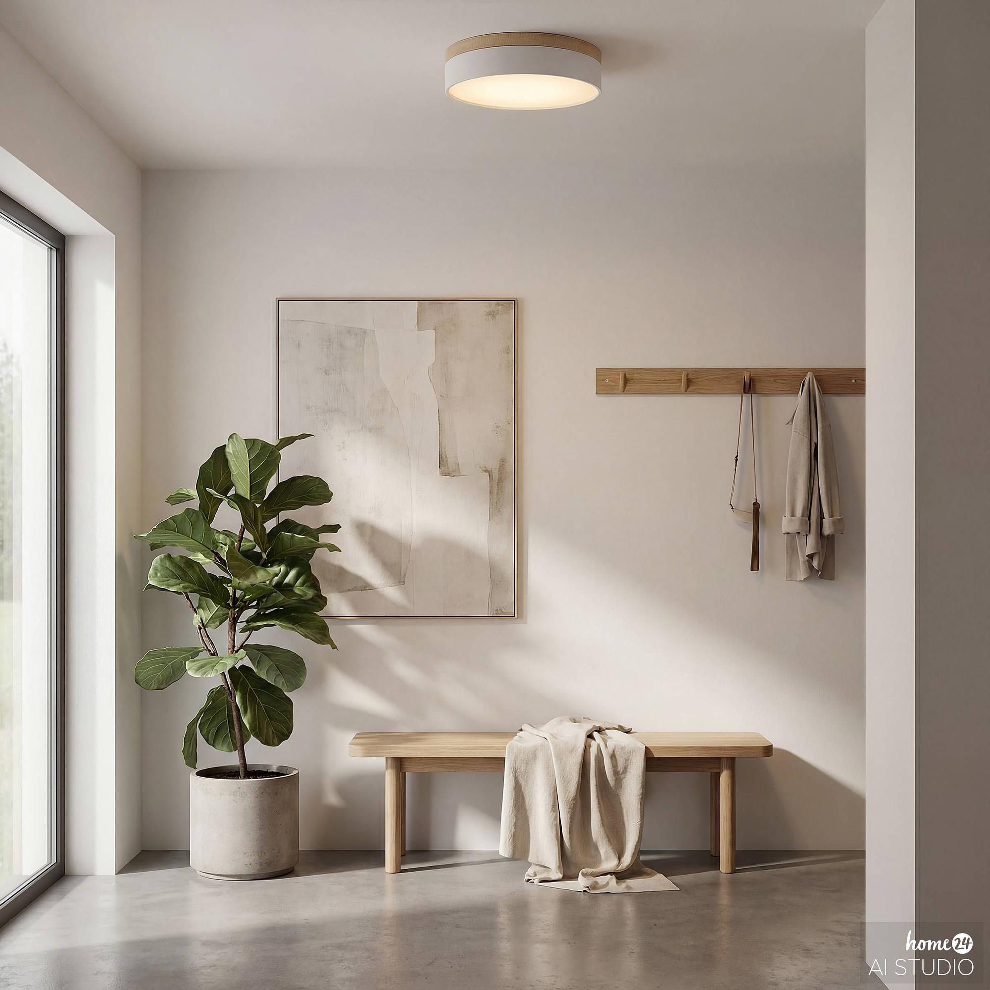 TENEO Ceiling Light 1-Light Iron White 3