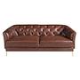 Chester 2-Sitzer Sofa Leder Cognac-Braun 6139 1