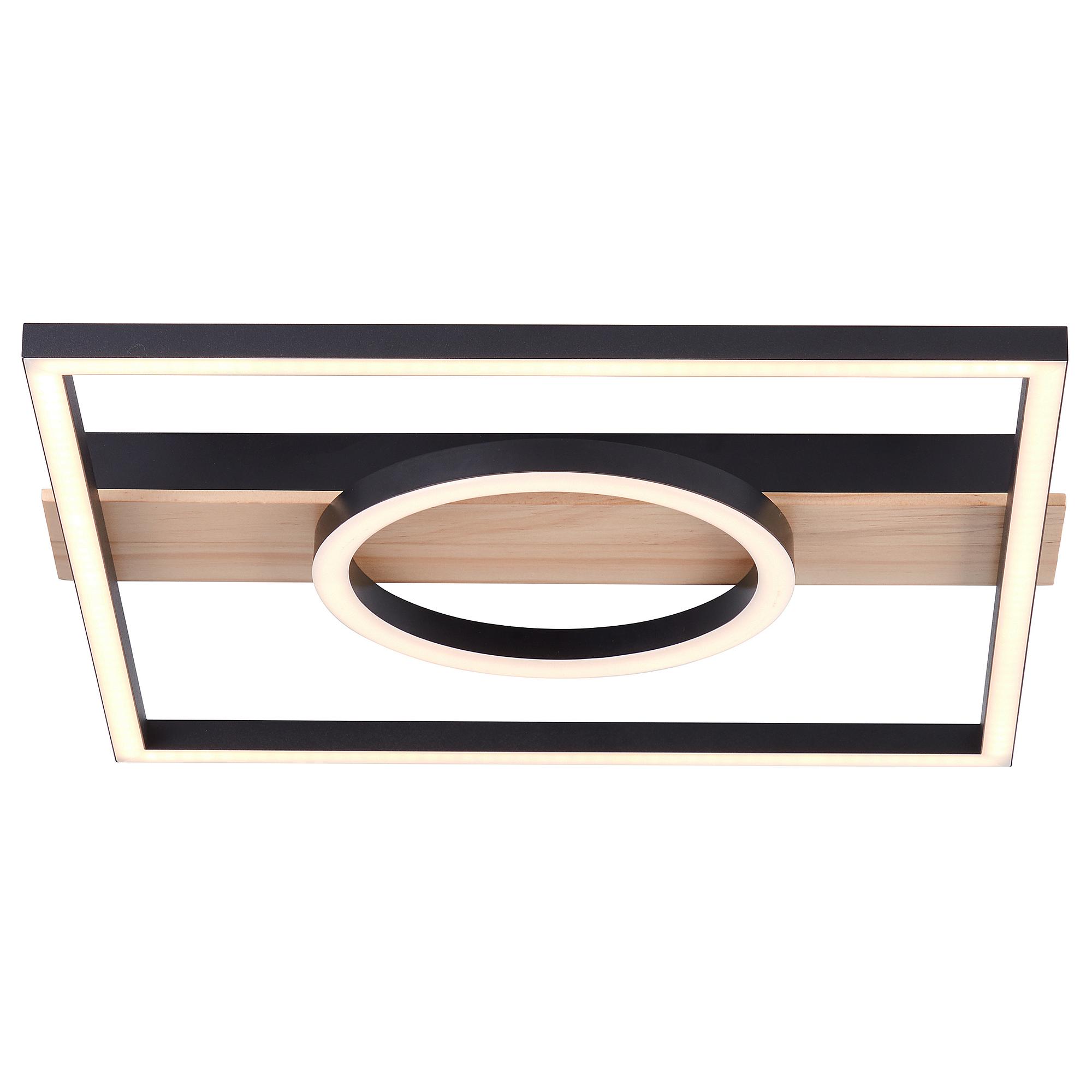 Maureen Pine LED Ceiling Light 1-Light TypeD Iron Black 0