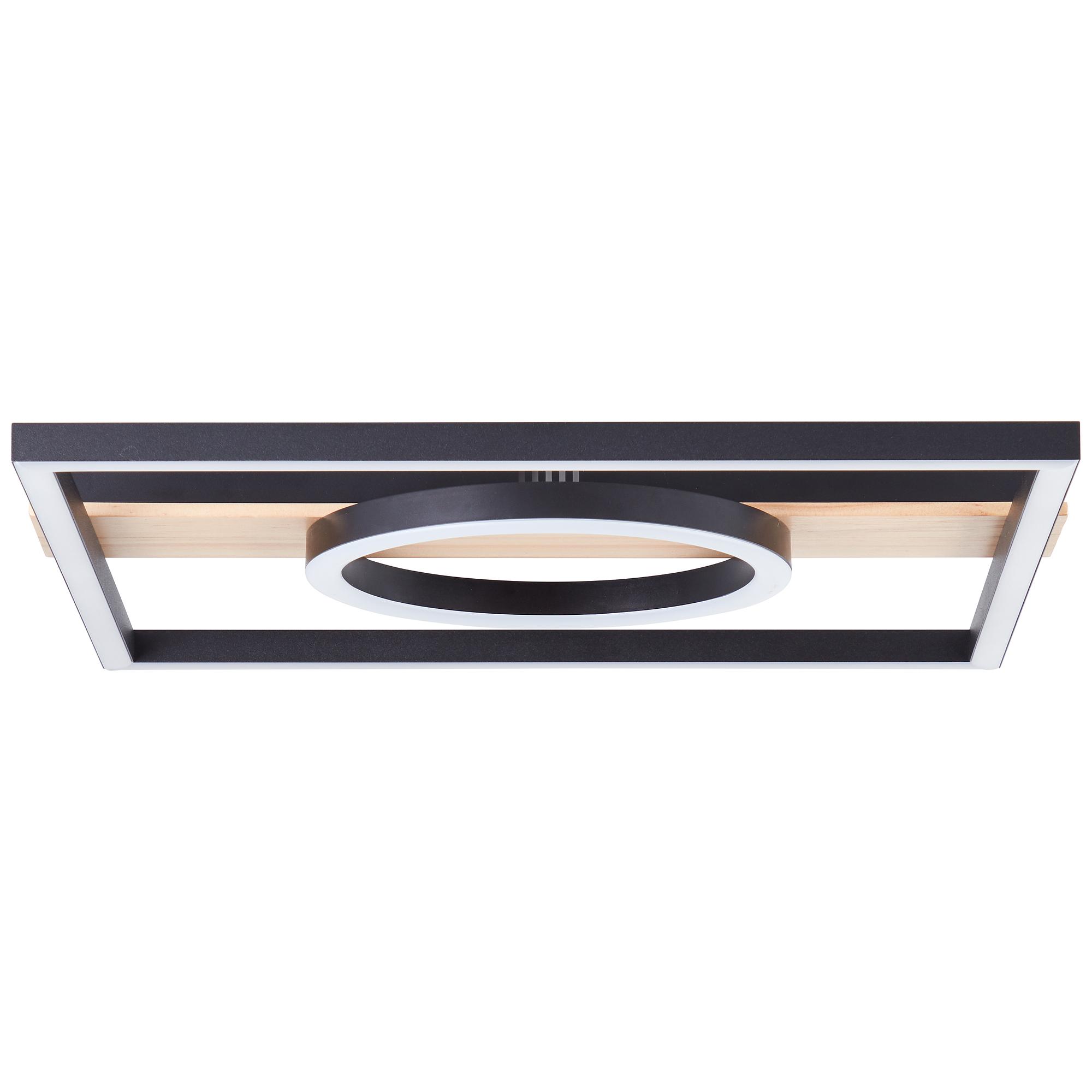 Maureen Pine LED Ceiling Light 1-Light TypeD Iron Black 4
