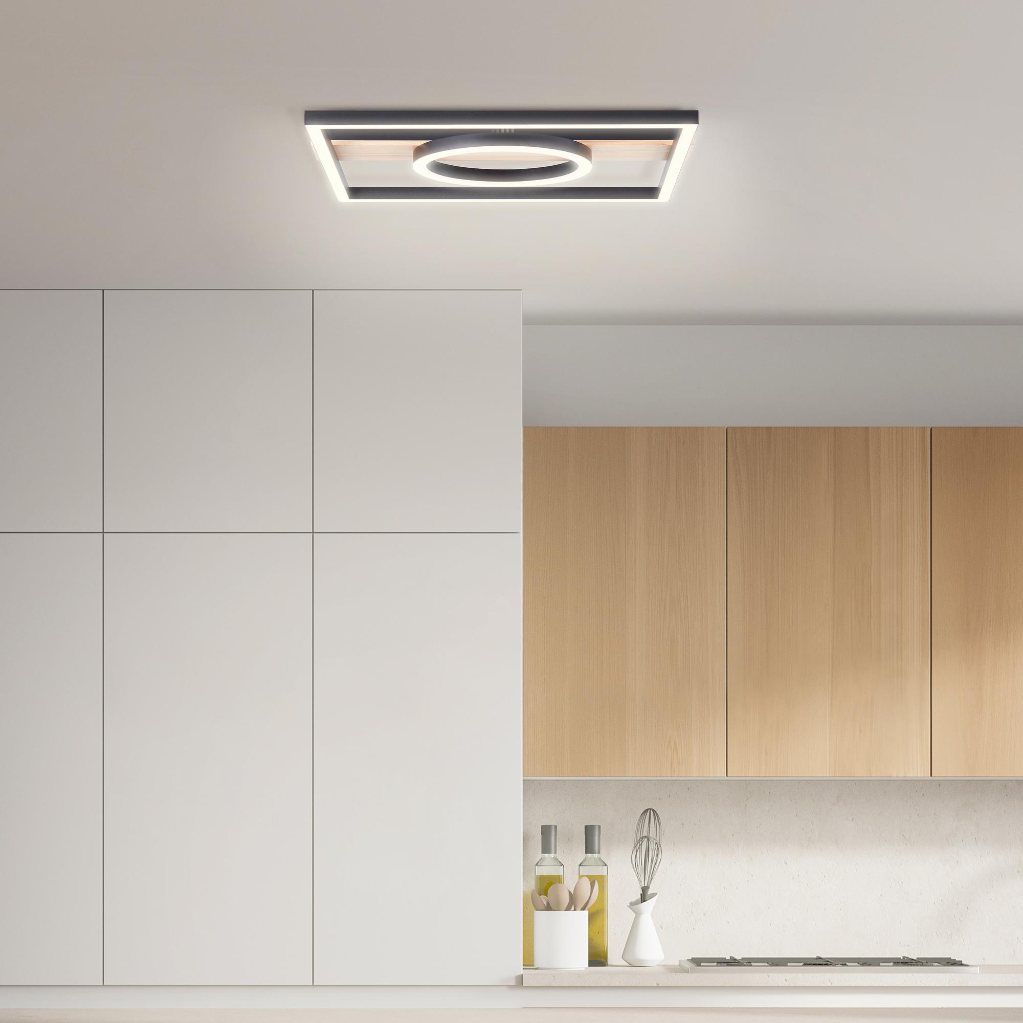 Maureen Pine LED Ceiling Light 1-Light TypeD Iron Black 3