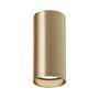 Focus Ceiling Light 1-Lamp Aluminum 3