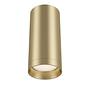 Focus Ceiling Light 1-Lamp Aluminum 4