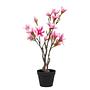 Magnolia Artificial Plant Polyethylene Black Pink 1