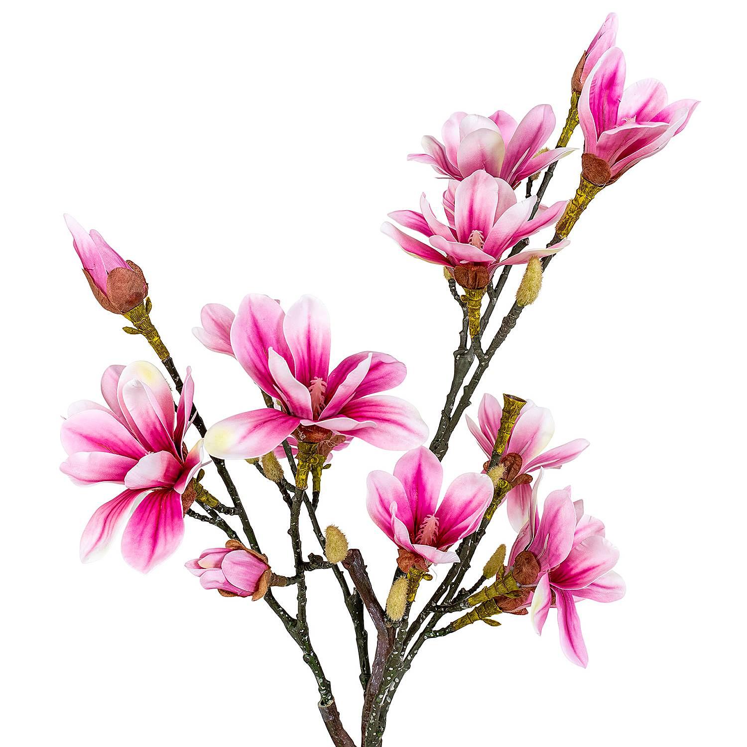 Magnolia Artificial Plant Polyethylene Black Pink 3
