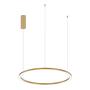 Hoop LED Pendant Light 1-Light Aluminum Gold Ø 80cm 0