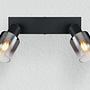 Hubertus Ceiling Light 2-Light Colored Glass Iron 1