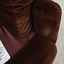 Coronado Armchair 1960s Brown 12