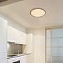 1-Light Sapana LED Ceiling Light Acrylic Glass Brown Ø42cm 2