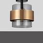 Sianna Ceiling Light 1-Light Type A Smoked Glass Gold 3