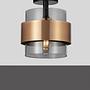 Sianna Ceiling Light 1-Light Type A Smoked Glass Gold 4