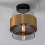 Sianna Ceiling Light 1-Light Type A Smoked Glass Gold 0