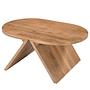Babio Coffee Table Solid Mango 2