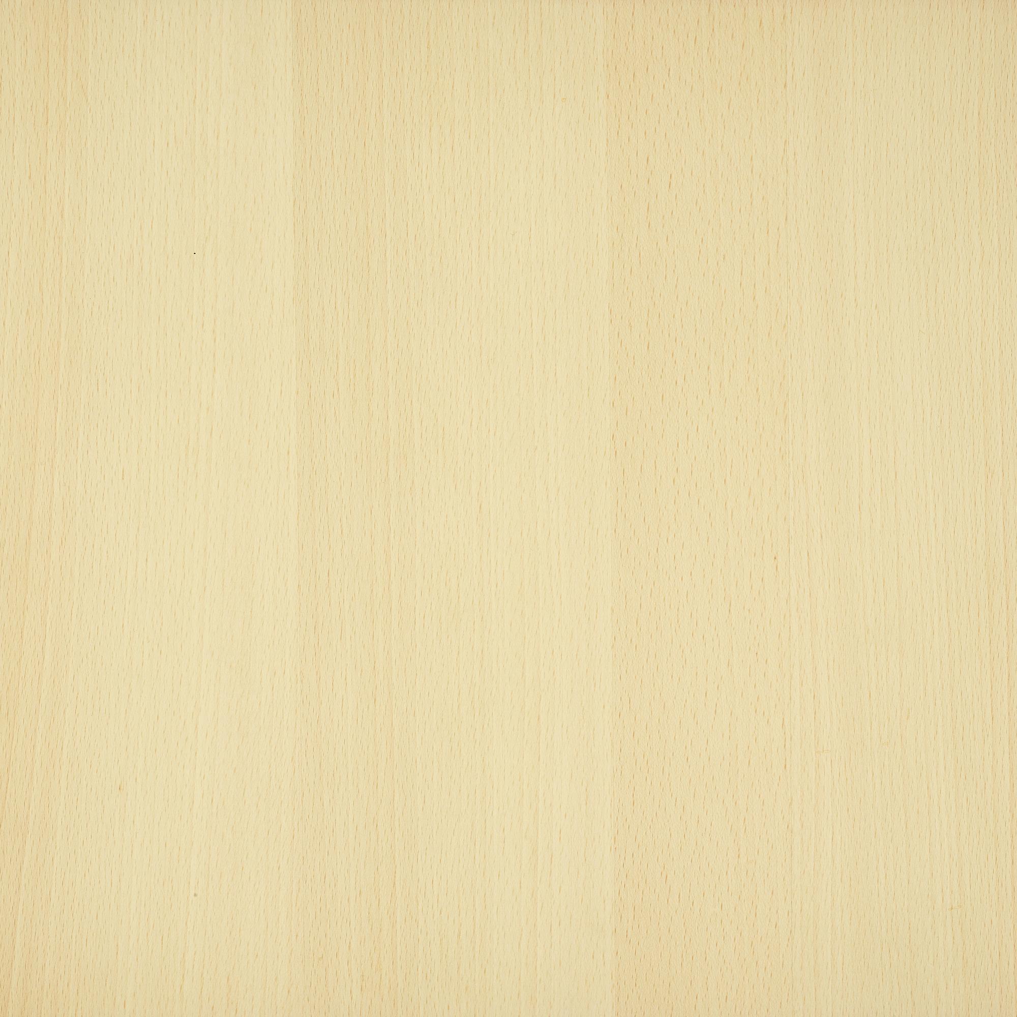 Mistral Desk Large Hornbeam Lacquered 4