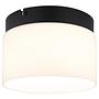 Trenton LED ceiling light 1-bulb opal glass iron 0
