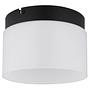 Trenton LED ceiling light 1-bulb opal glass iron 1