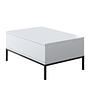 Lord Coffee Table Wood Veneer Black White 0