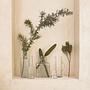 Veli Glas Vase Transparent 1