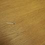 Coffee table wood Natural 1970s 10