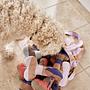 Ashi Dog Toy Polyester Recycled Multicolored 3