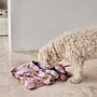 Ashi Dog Toy Polyester Recycled Multicolored 2