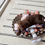 Ashi Dog Toy Large Polyester Recycled Blue 2
