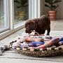 Ashi Dog Toy Large Polyester Recycled Blue 3