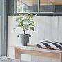 Inka Kana Blumentopf Ceramic Anthrazit 3