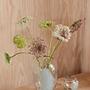 Jali Vase Groß Glas Transparent 3