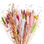 Dried flowers FLOWER MARKET bouquet natural 1