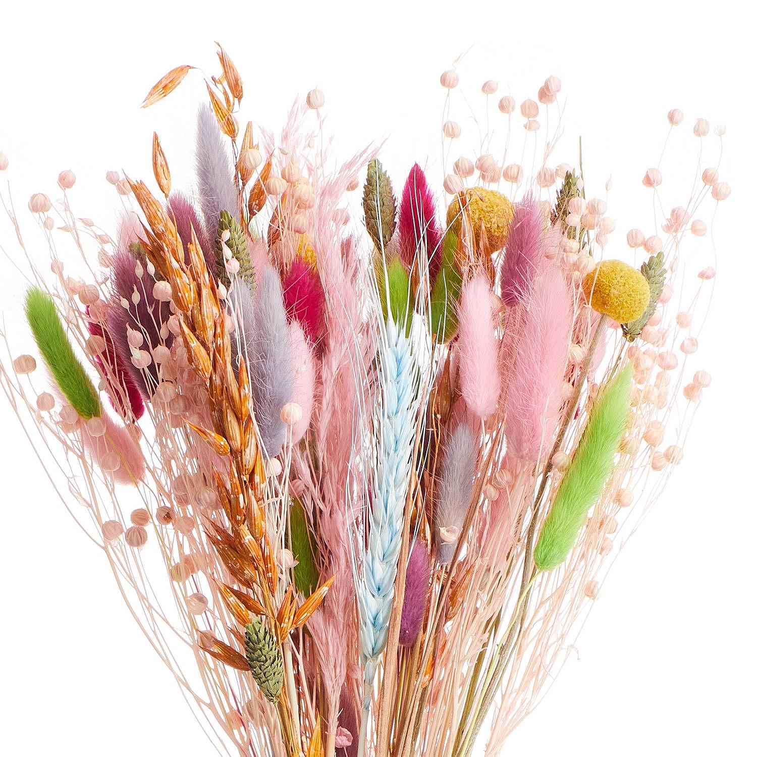Dried flowers FLOWER MARKET bouquet natural 1