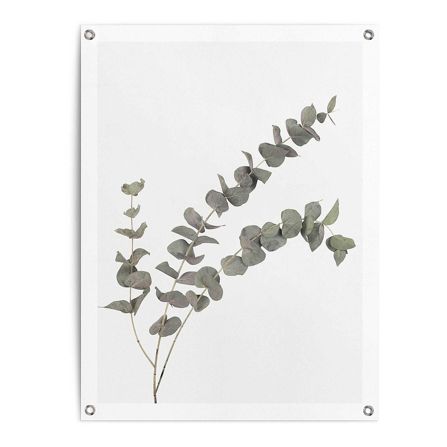 Outdoor-Poster Eukalyptus PVC Grün 60 x 80 cm 1