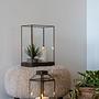 Laterne Mysore Messing Stahl Klarglas 14 x 35 x 14 cm 2
