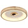 LED-Deckenleuchte Helia Acrylglas / Eisen 1-flammig 2