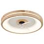 LED-Deckenleuchte Helia Acrylglas / Eisen 1-flammig 3