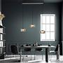 LED pendant light Rika Type A clear glass / iron black 2
