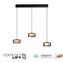 LED pendant light Rika Type A clear glass / iron black 4