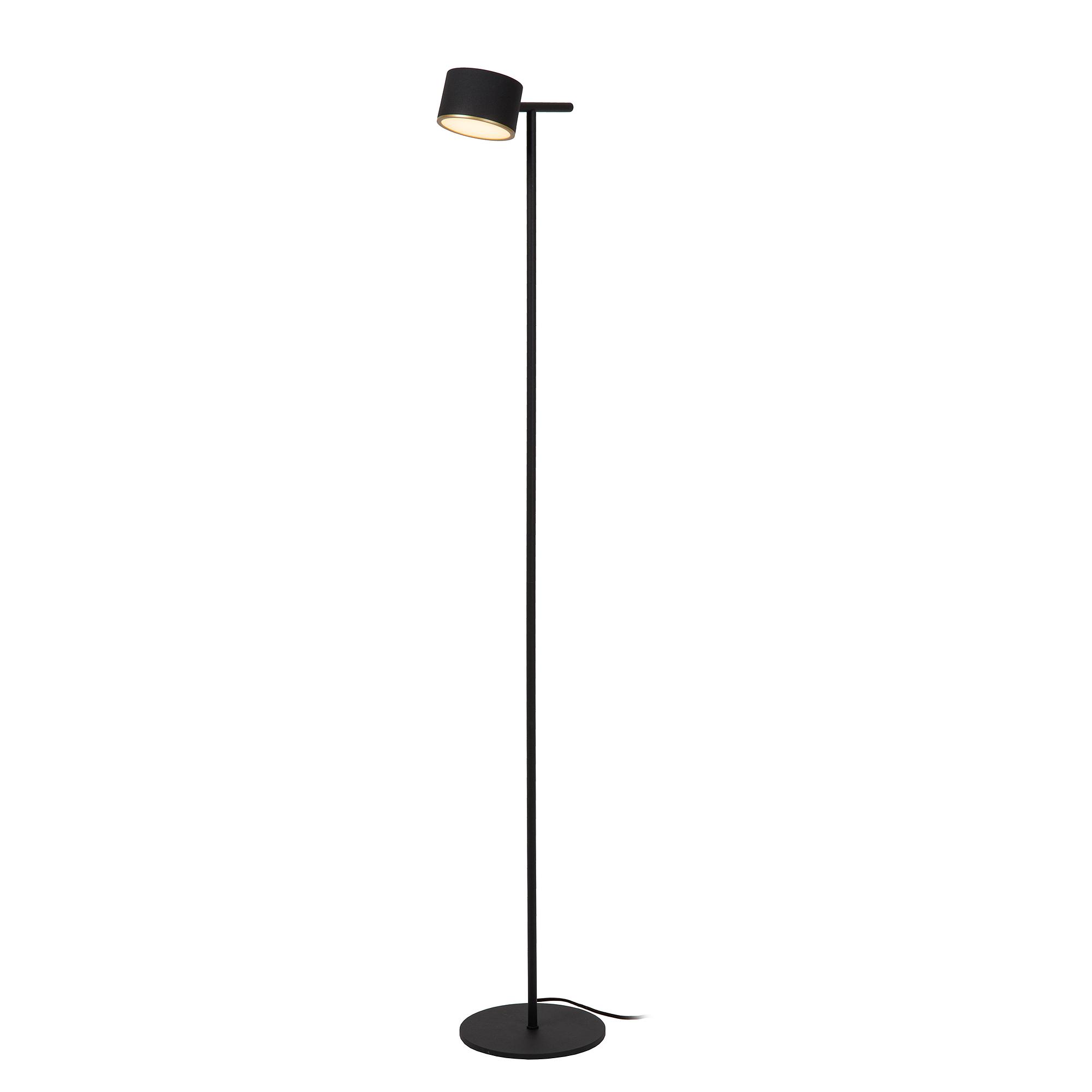 LED Stehleuchte Lavale Eisen Schwarz 3