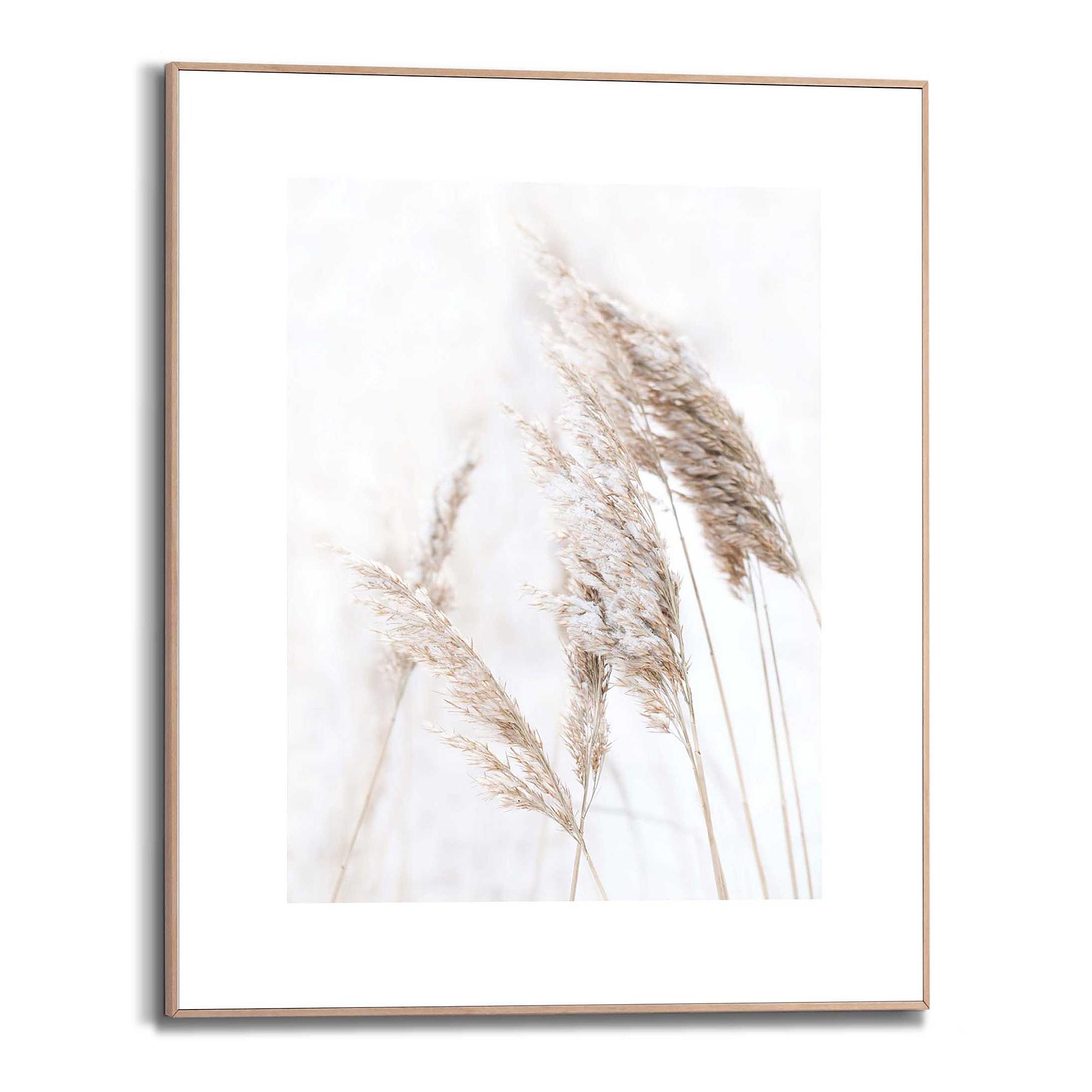 Kunstdruck Pampasgras MDF Beige 0