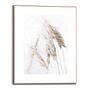 Kunstdruck Pampasgras MDF Beige 1